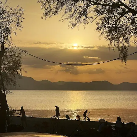 Olivias Tatil Evi