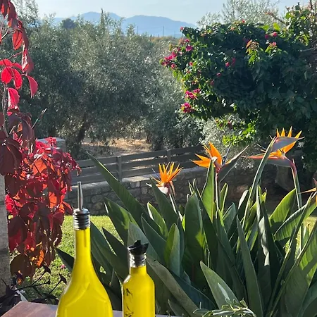 Aegean Horizon - Retreat For 6 With Private Pool & Sea Views Of Evia Near Athens Hébergement de vacances Saint Minas